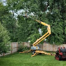 Best Emergency Tree Removal  in Brinkley, AR